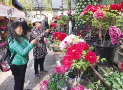 看花展、逛庙会、赏花灯、吃美食……
