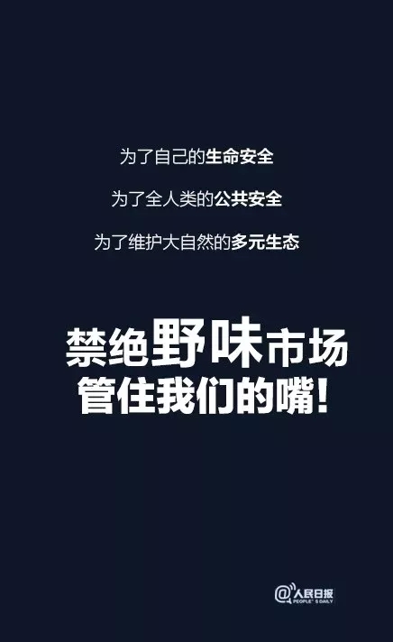 一只蝙蝠的自述在朋友圈火了:千万不要再吃野味了!