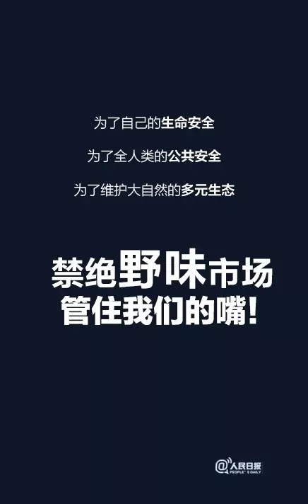 一只蝙蝠的自述在朋友圈火了：千万不要再吃野味了！