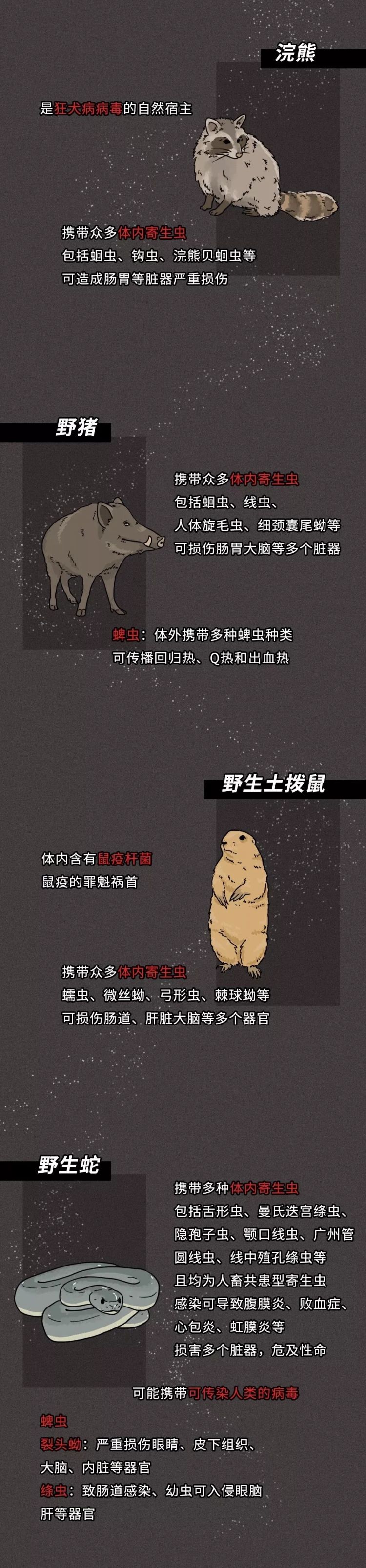 一只蝙蝠的自述在朋友圈火了:千万不要再吃野味了!