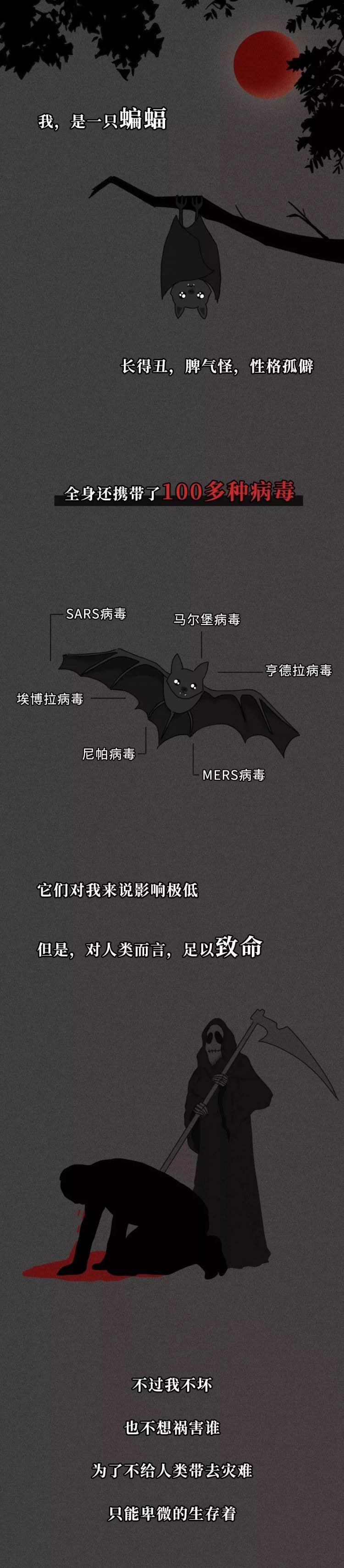 一只蝙蝠的自述在朋友圈火了:千万不要再吃野味了!