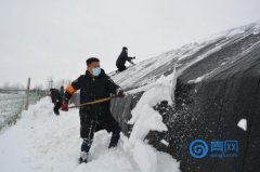 即墨区:扫雪保农耕,党员服务队在行