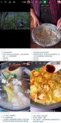 世界粮食计划署、快手共倡健康理念,李子柒