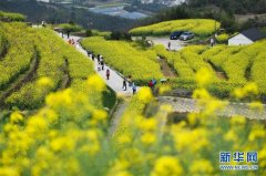 乡村旅游渐升温山顶春色迎客来