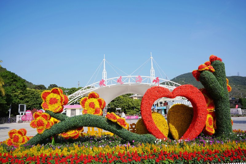 深圳玫瑰海岸文化旅游度假区今日恢复开放 医护