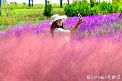 惊艳了!汉口江滩四期全面完工 近百亩花海盛