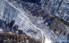 雪后花海 梯田仙境