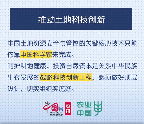 如何呵护耕地健康？民革中央四条建议值得关注