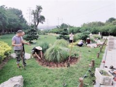 郑州植物园景观升级 5万平方米花海将绽