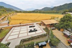 广州从化美丽乡村成旅游打卡地