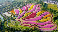 花海民宿、童梦花园、星空花影...花开