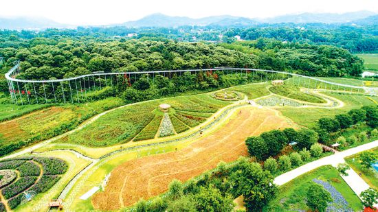 花满田园旅游兴