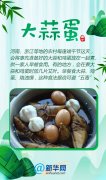 真香!一起领略舌尖上的端午特色美食