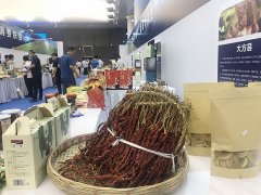 毕节美食零距离接触:养生高冷喜辣,