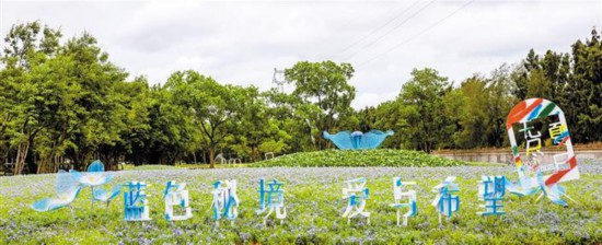 “2020无尽夏日花展”在深圳西部海上田园旅游区举行