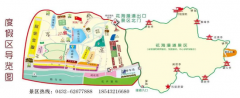 你绝不是单纯的“金珠花海”