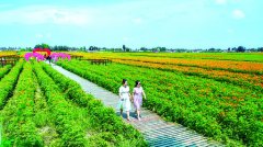 全域旅游打响“农耕文化牌”