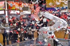 呼图壁县石梯子乡大力发展“花海经济”