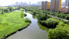 一路向东还有千亩花海?渭河,一条被宝鸡人