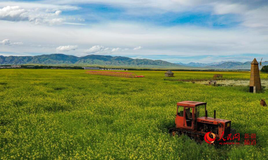 新疆昭苏县着力打造休闲旅游观光农业