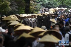 张家界旅游遭遇天价“三七”