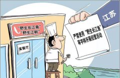 全面禁售江鲜! 舌尖美味如何“保鲜”
