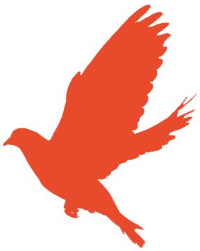 开讲啦!学习贯彻党的十九届四中全会精神,这