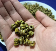 铁皮石斛茶的功效和作用