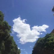 缺血性心脏病