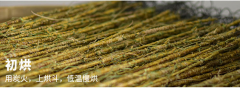 佩佩仿野生霍山石斛