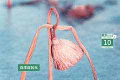 雄安早知道(2021年2月10日)