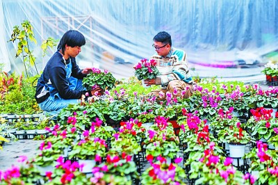 就业优先，如何实现聚力增效