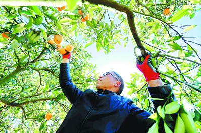 就业优先，如何实现聚力增效