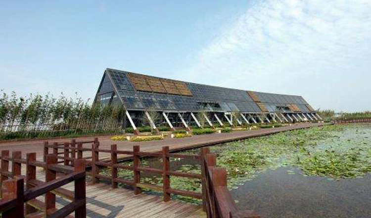 上海东滩湿地公园