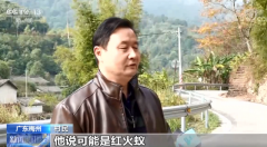 村民被红火蚁咬后休克 外出游玩这些地方要格
